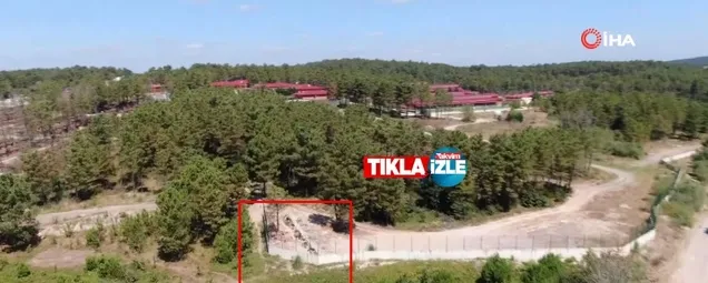 İBB hayvan barınağında vahşet videosu! Toplu mezarda onlarca kedi ve köpek ölüsü bulundu!