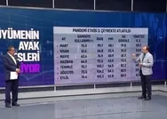 Son dakika: Büyümenin ayak sesleri geliyor! YEP enflasyon hedefi maaşlara nasıl yansır?
