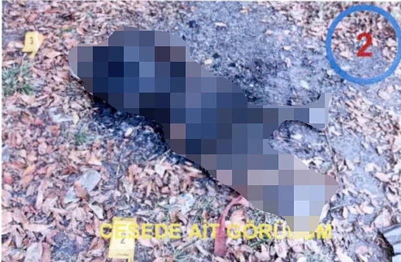 Zonguldak'ta cesedi ormanda yakılan Afgan'ın ölümüne ilişkin 6 sanık hakim karşısında: 12 saatlik duruşmada birbirlerini suçladılar-4