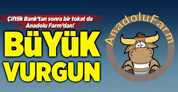 Bir tokat da Anadolu Farm'dan