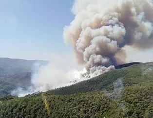 Milas’ta orman yangını