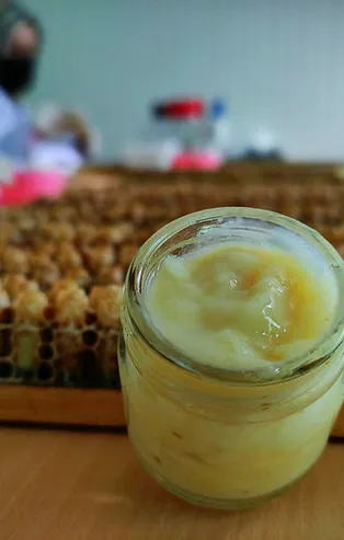 Bağışıklık sistemini çelik gibi yapan arı sütünün kilosu 8 bin lira! Fiyatı el yakıyor ama talebe yetişemiyorlar!