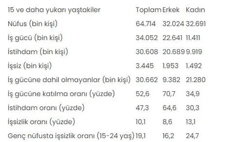 İşsizlik rakamları açıklandı: İstihdam artıyor!-7