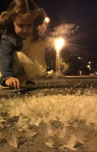 Dün gece başladı! Hepsi ölecek