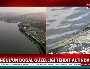 İstanbul’un doğal güzelliği tehdit altında!