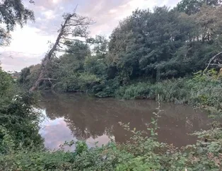 İmamoğlu kaderine terk etti: Cennet Riva ölüyor!