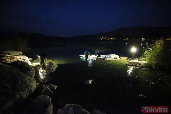 Günlük 900 lira kazanıyorlar! Türkiye'nin birçok ilinden toplanan kurbağalar Avrupa'ya ihraç ediliyor - 17