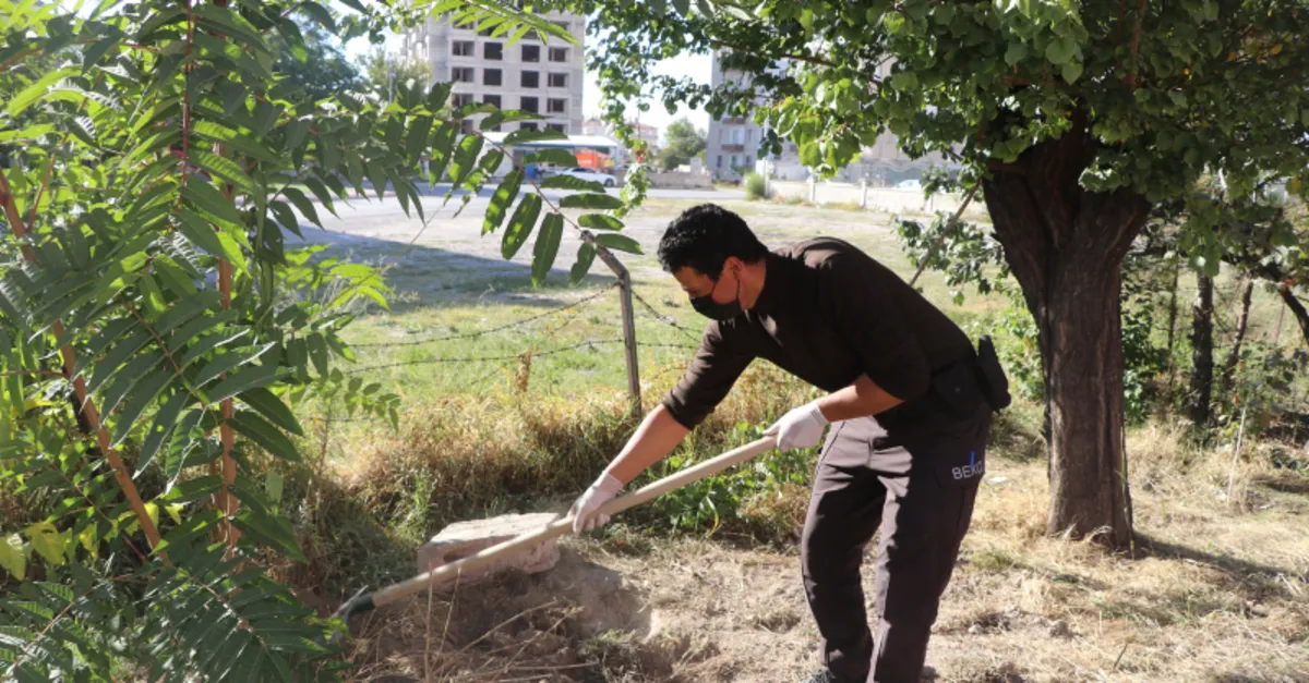 Ceset var diye kazılan çukurdan çıkan şoke etti! Ev sahibi gömmüş...