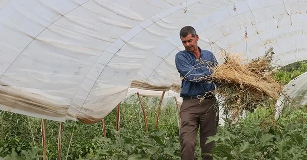CHP medyasının hedefi Anadolu insanı: Cumhuriyetçi ve demokrat olmamakla suçlayarak kin kustular