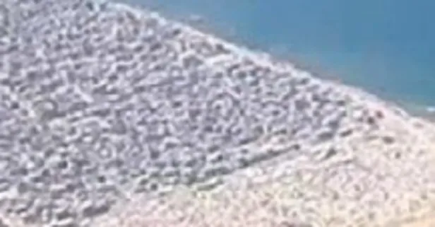 Terör devleti İsrail 60 binin üzerinde Filistinli'yi katletti