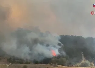 Uşak’taki orman yangınına müdahale sürüyor