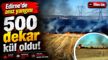 Edirne'de anız yangını: 500 dekar kül oldu