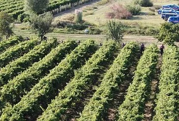 Manisa’da tüyler ürpeten cinayet!