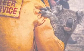 Avustralya'da korkunç bilanço! 23 kişi öldü, 480 milyon hayvan telef oldu-2