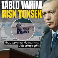 Başkan Erdoğan grup toplantısında duyurmuştu! Türkiye’deki sahipsiz hayvan tartışması ve kuduz vakaları Avrupa’nın da radarında