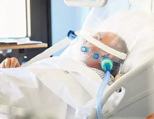 Corona’nın ilacı akasya