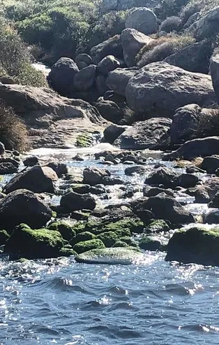 CHP'li Bodrum Belediyesi'nde içler acısı görüntü! Tonlarca atık su...