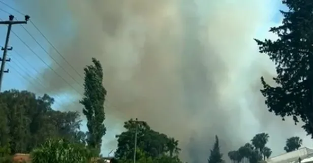 Antalya’da orman yangını! 5 hektarlık alan kül oldu