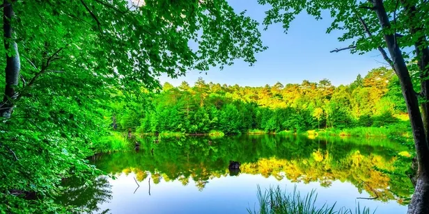 yesillikler-icin-dinlenmek-isteyenlerin-dogal-adresi-sapanca-1661898840144.jpeg Yeşillikler için dinlenmek isteyenlerin doğal adresi Sapanca-2