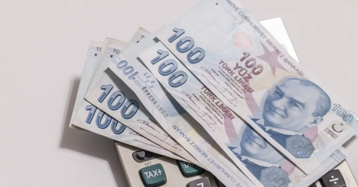 mama ve bez yardimi nasil alinir bez ve mama yardim basvurusu nasil yapilir 2020 takvim