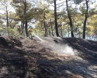 Çanakkale’de orman yangını