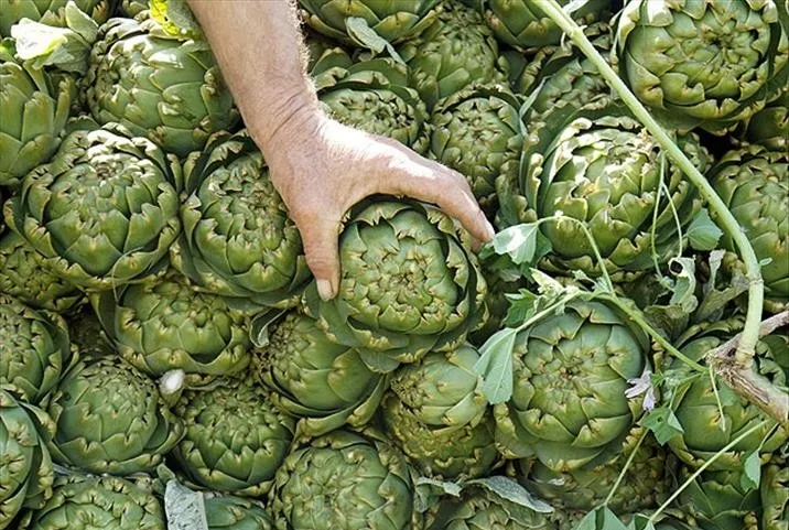 Enginarla sağlıklı kal