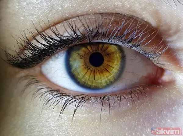 📈 Çalışma Nasıl Yapıldı? Dunedin Çok Disiplinli Sağlık Ve Kalkınma Çalışması Kapsamında, Ortalama Yaşı 45 Olan 900 Kişilik Bir Grubun Doğumdan İtibaren Sağlık...