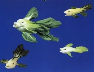 Manav deyip geçmeyin