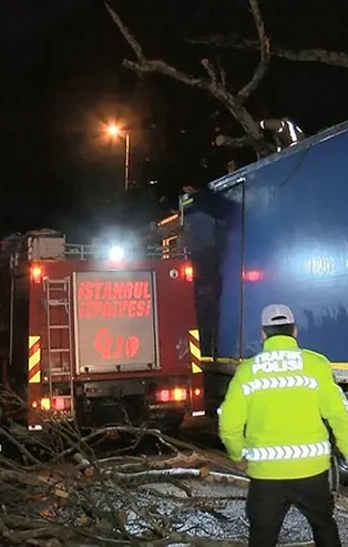 Üsküdar'da feci kaza! Kamyon ağaca çarptı!