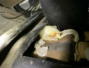 Uyuşturucu operasyonunda soğan detayı