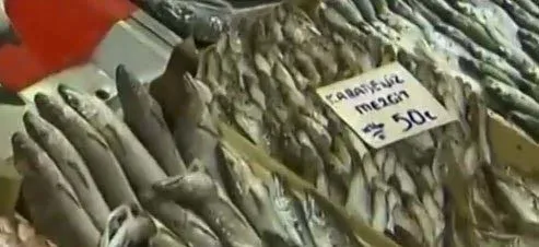 balik-fiyatlari-ne-kadar-oldu-guncel-balik-fiyatlari-2021-levrek-hamsi-istavrit-somon-mezgit-cinekop-cupra-alabalik-1638502769039.jpg Balık fiyatları ne kadar oldu? Güncel balık fiyatları 2021 Levrek, hamsi, istavrit, somon, mezgit, çinekop, çupra, alabalık...-5