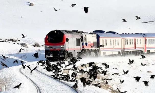 Karsrail'e rakip geldi-5