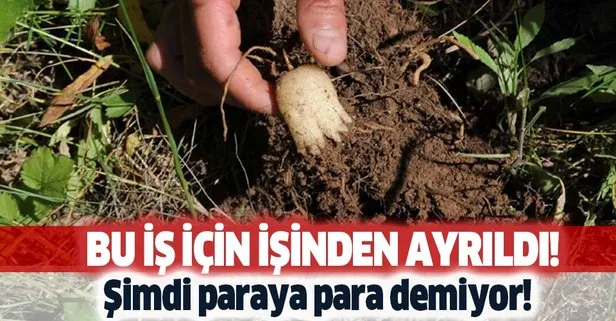 Kışın vazgeçilmezi baya satıyor! Mesleğini bıraktı şimdi paraya para demiyor