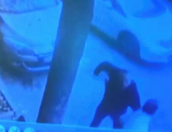 Bayrampaşa’da sokak ortasında cinayet