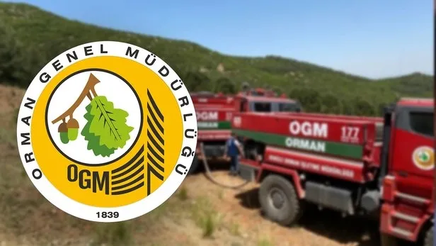 OGM personel alımı başvuru şartları nelerdir? Orman Genel Müdürlüğü 22 orman mühendisi alımı başvuruları nasıl yapılır?-4