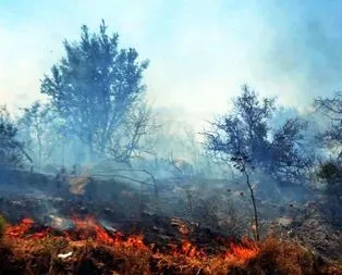 Sosyete cenneti cayır cayır yandı!