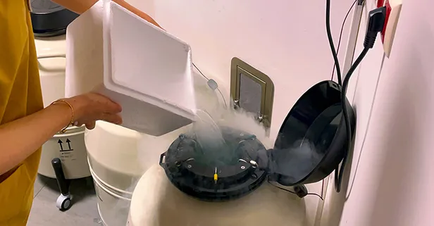 Biyolojik saat durduruldu: 40’lı yaşlardan sonra hamilelik mümkün mü?