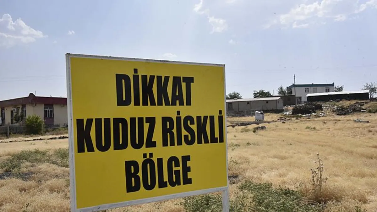 Şanlıurfa’da başıboş köpek felaketi! Sumaklı Mahallesi karantinaya alındı: ’Dikkat kuduz riskli bölge’