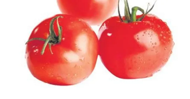 Domates sağlık saçıyor