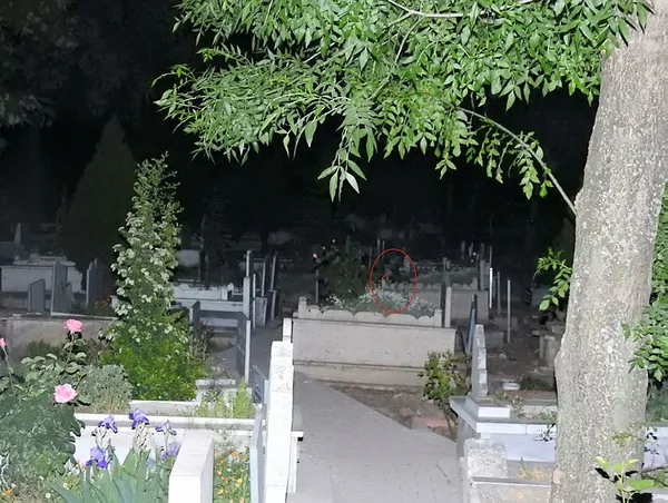 Çorum'daki gizemli genç kız hikayesi efsane oluyor-3