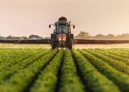 Çiftçiye gübre desteği müjdesi! Gübre desteklerinde yüzde 100 artış kararı! Resmi Gazetede yayımlandı