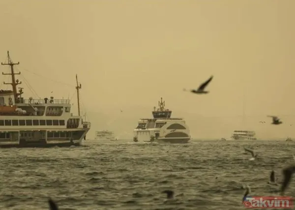 Mali çöl tozu etkisi başladı: Maskesiz dışarı çıkmayın! Astım ve alerjisi olanlar nelere dikkat etmeli? Yağmurla birlikte... - 7