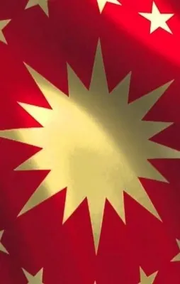 Madde madde Cumhurbaşkanlığı Sistemi