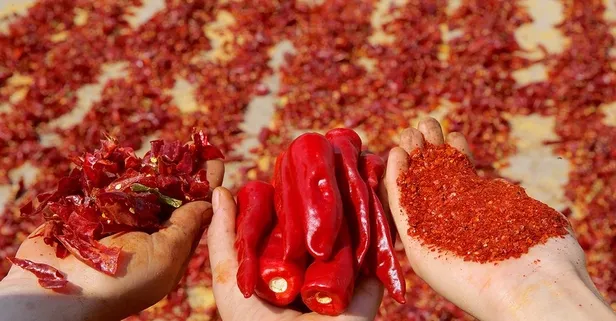 Faydaları saymakla bitmeyen acı biber kırışıklara son veriyor!