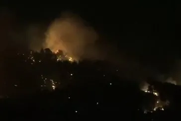 Çanakkale’de orman yangını!