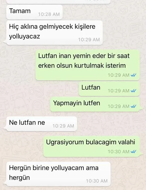 Iraklı avukata iğrenç tuzak! Kadın çamaşırı giydirip... - 6