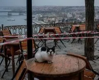Türkiye’de paralel istihdamda da kıpırdanma başladı: Yüzlerce eleman aranıyor