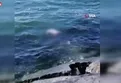 Avcılar sahilinde erkek cesedi bulundu