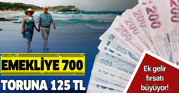 Emekliye 700 toruna 125 TL