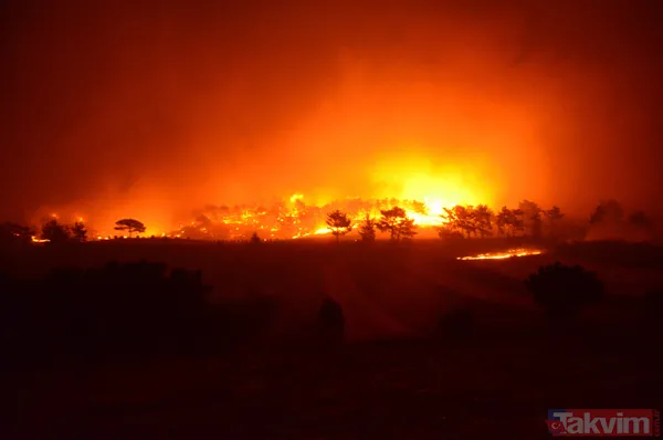 Antalya Manavgat'ta yangın felaketi! Acı haber geldi: 3 kişi hayatını kaybetti - 36